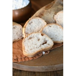 PANE CASARECCIO FRESCO DE IL FORNO DEL CELIACO 460G